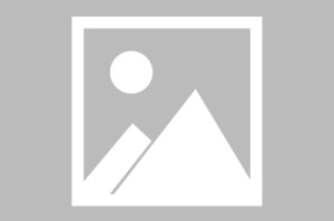 世界体操团体赛冠军教练获国际表彰，世界体操锦标赛冠军